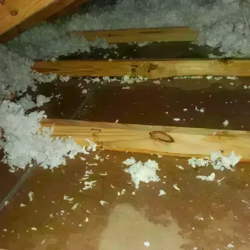 Attic Water Damage in Avery County, NC